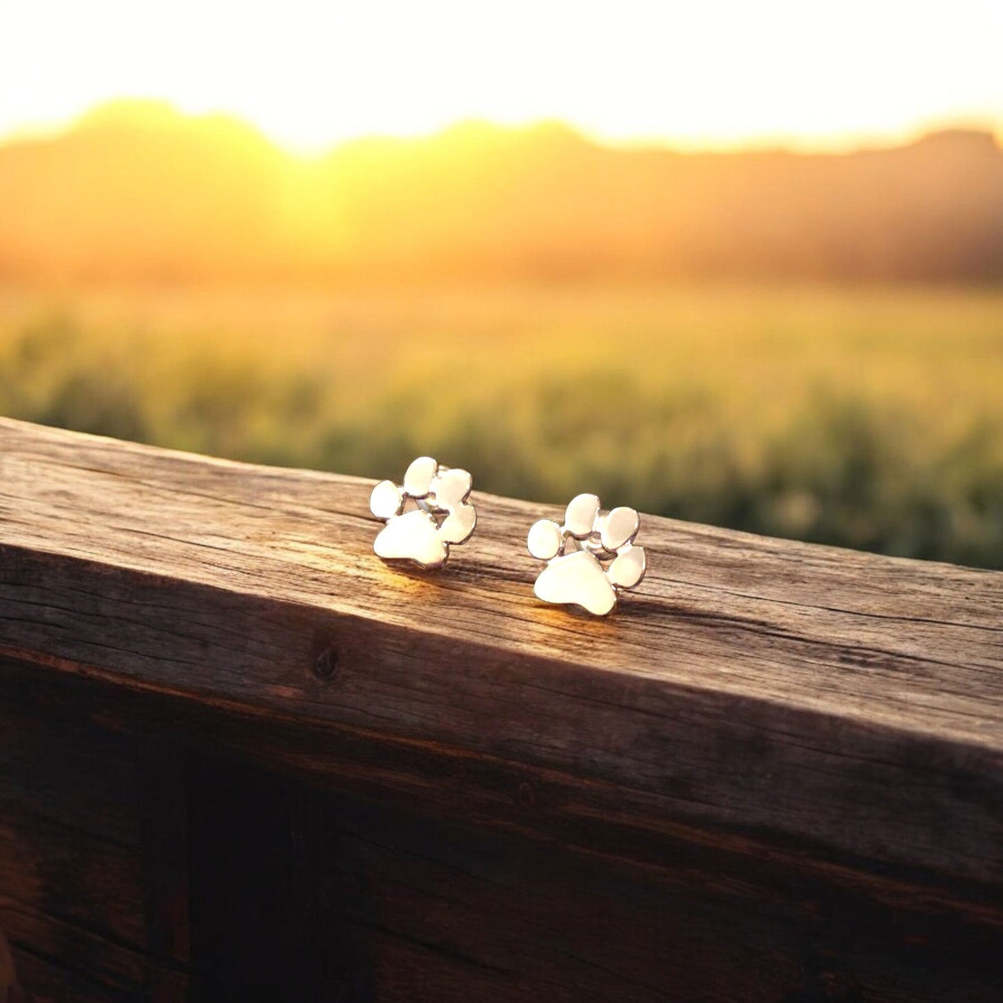 Hypoallergenic Paw Earrings â€“ Made of Stainless Steel