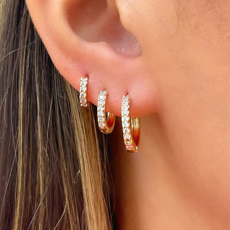 Zirconia Bright Earrings