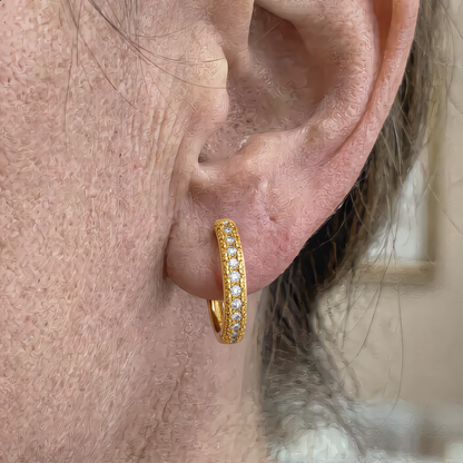 Double Row Zircon Hoop Earrings | Gold